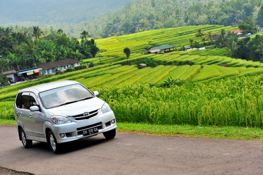 Bali car rental with driver, hire bali driver,