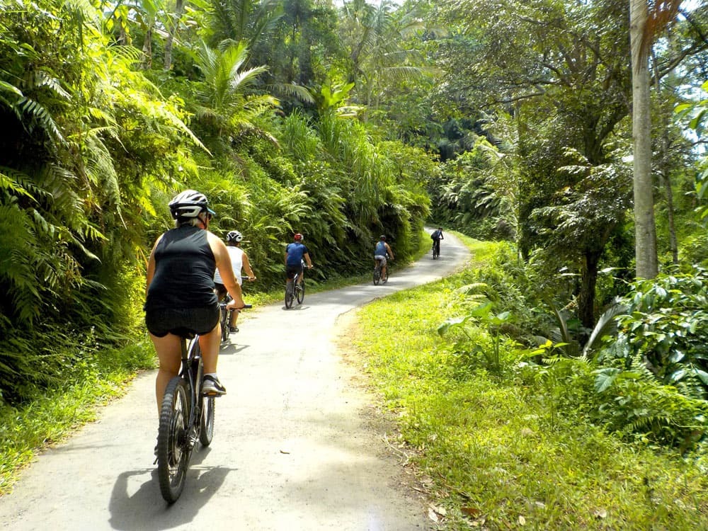 Balinese Village Cycling Tour