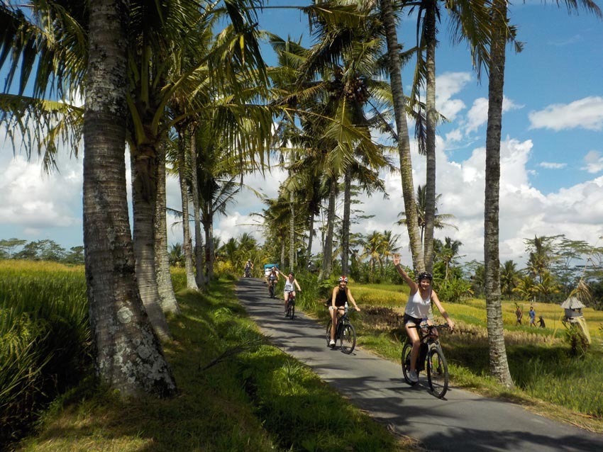 Ubud Countryside Cycling