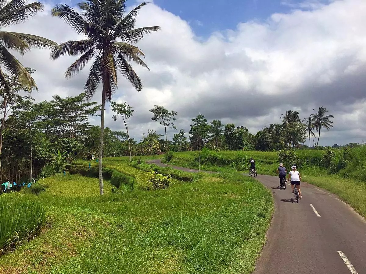 Bali Cycling Tour Ubud