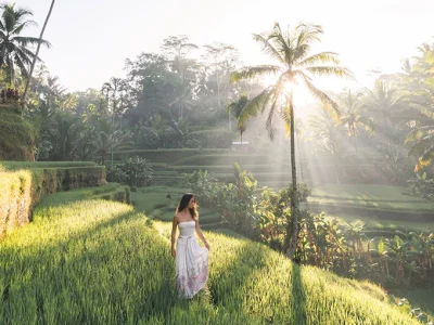 Tegallalang Rice Terrace – Iconic Rice Fields in Ubud Bali