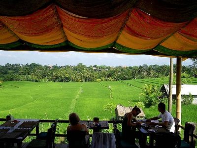Take a walk to Sari Organic