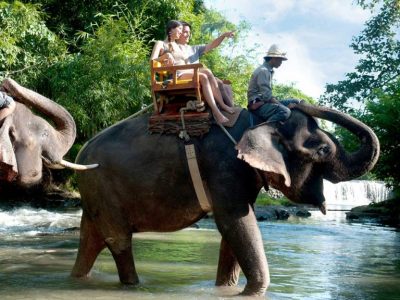 Ubud Elephant Ride